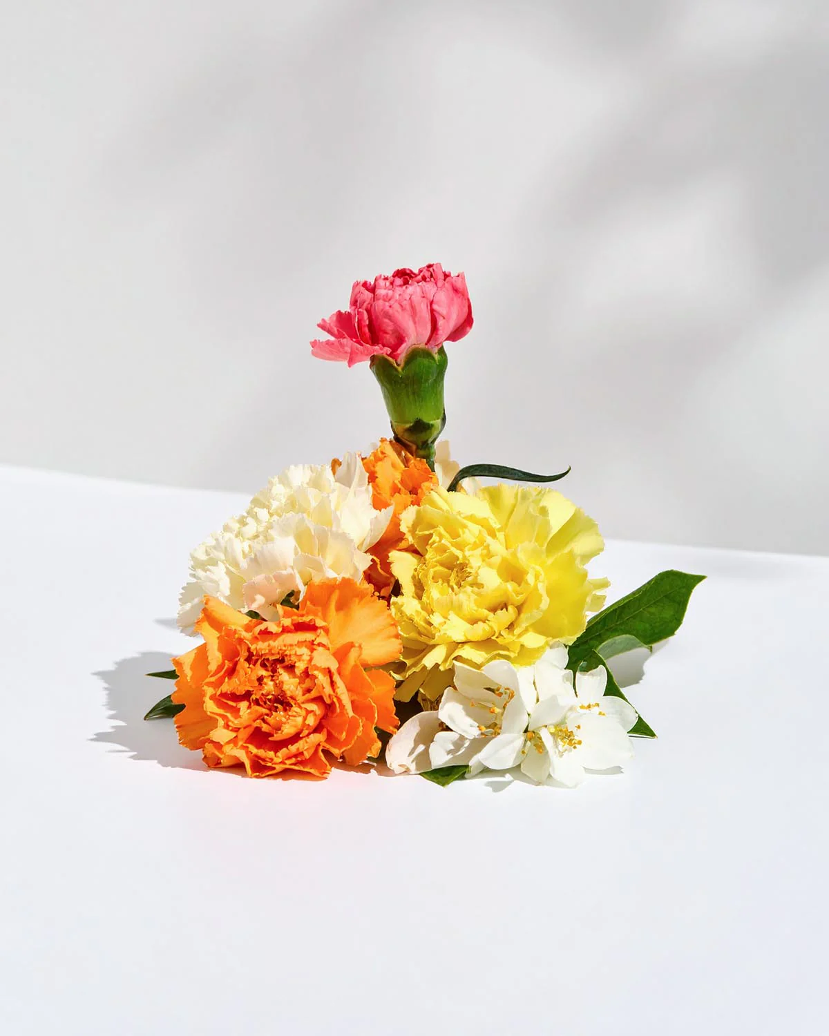 Miniature 2