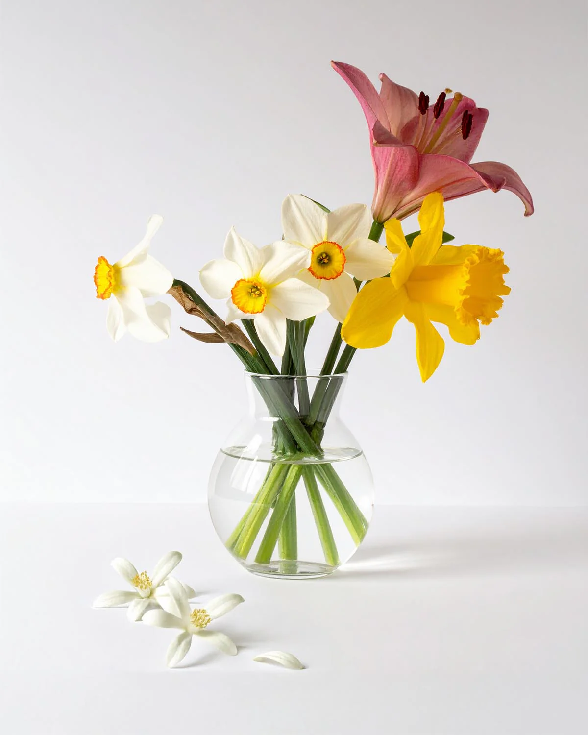 Miniature 2