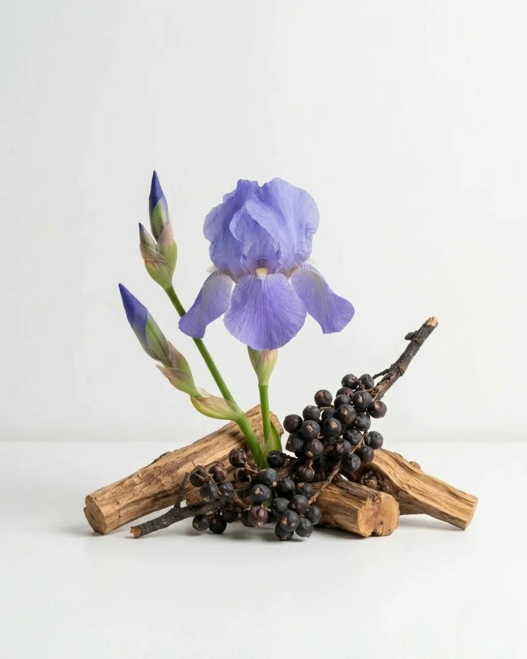 Miniature 2