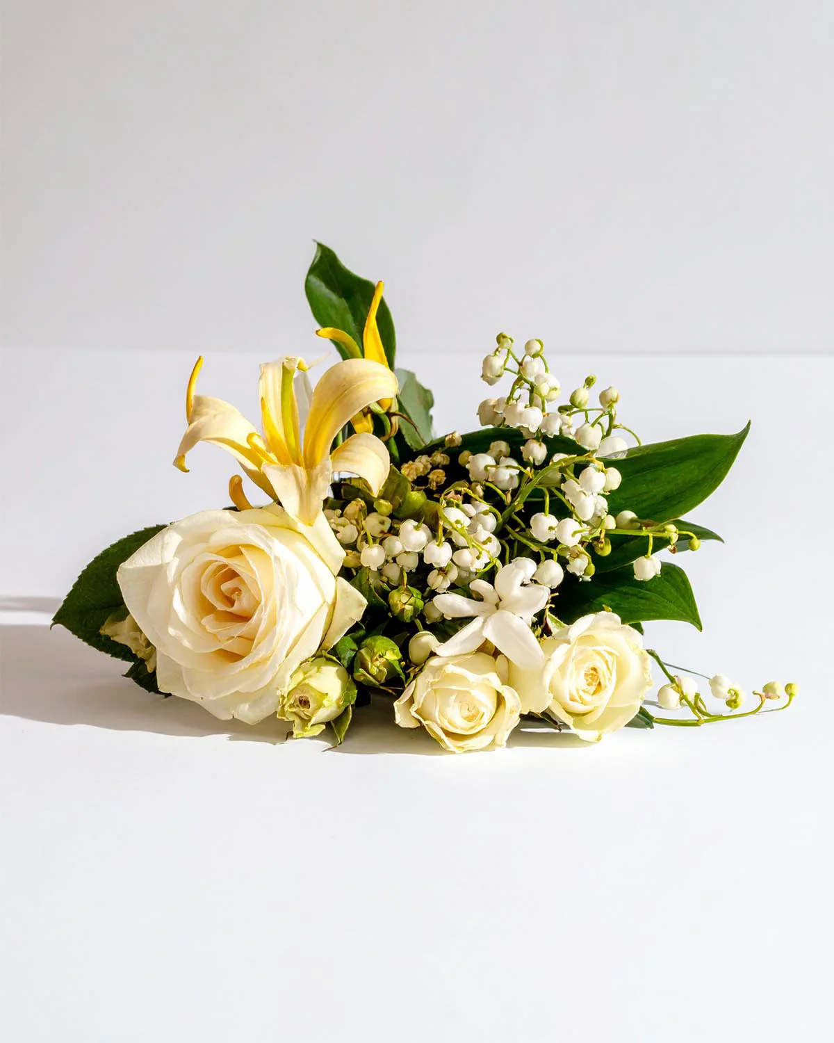 Miniature 2