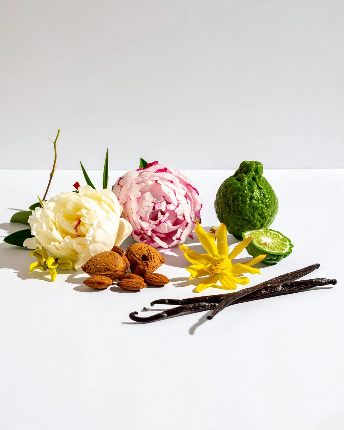 Miniature 2