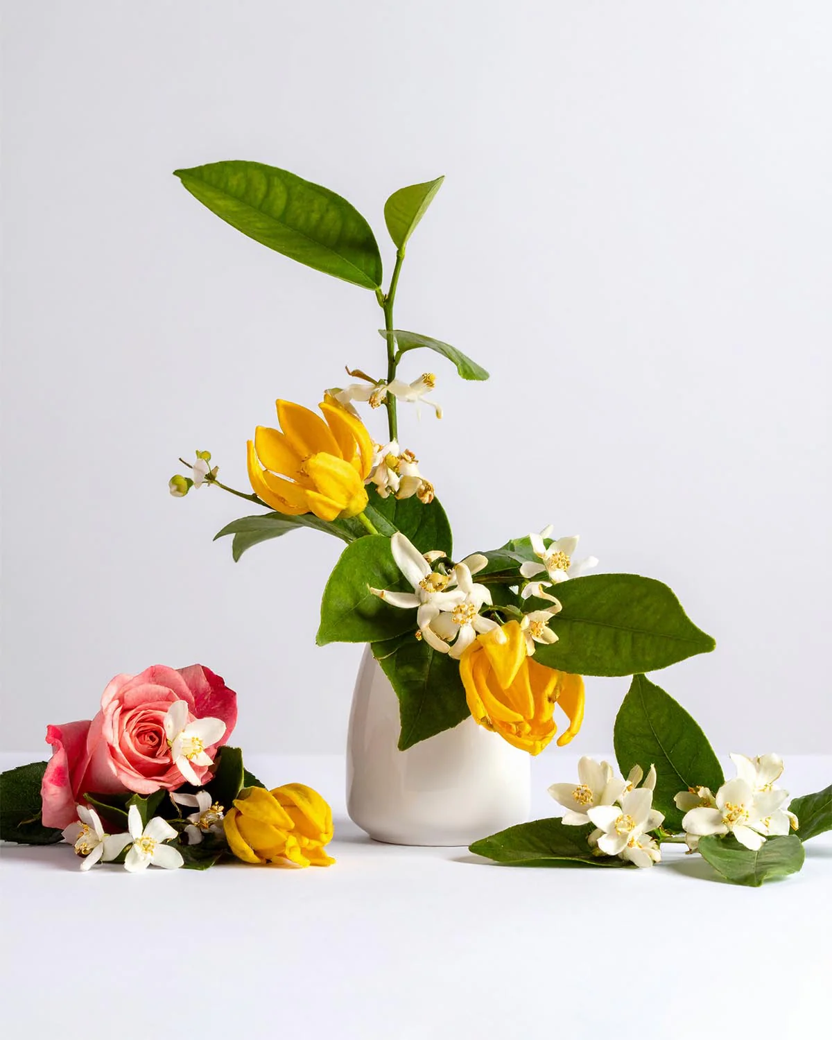Miniature 2