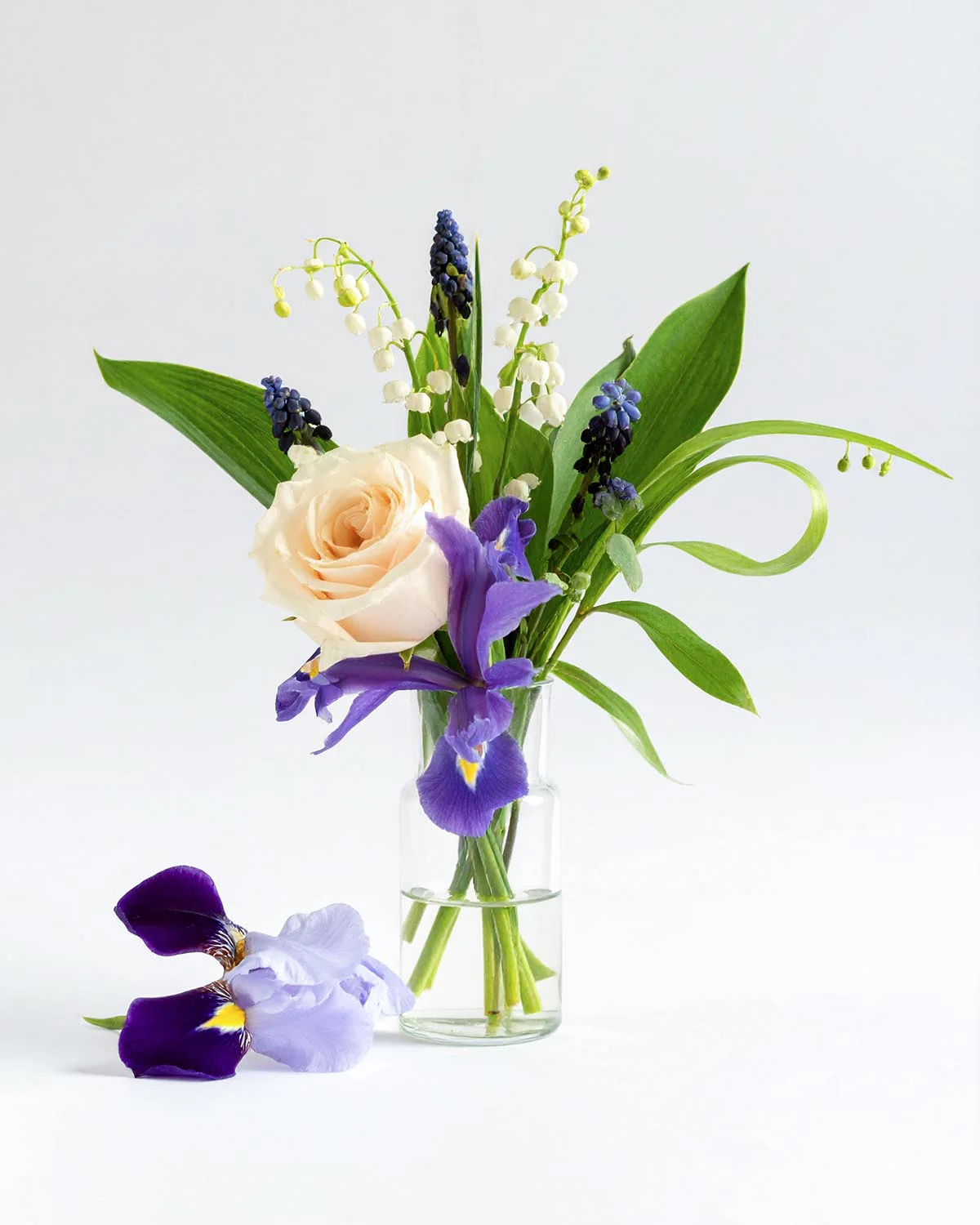 Miniature 2