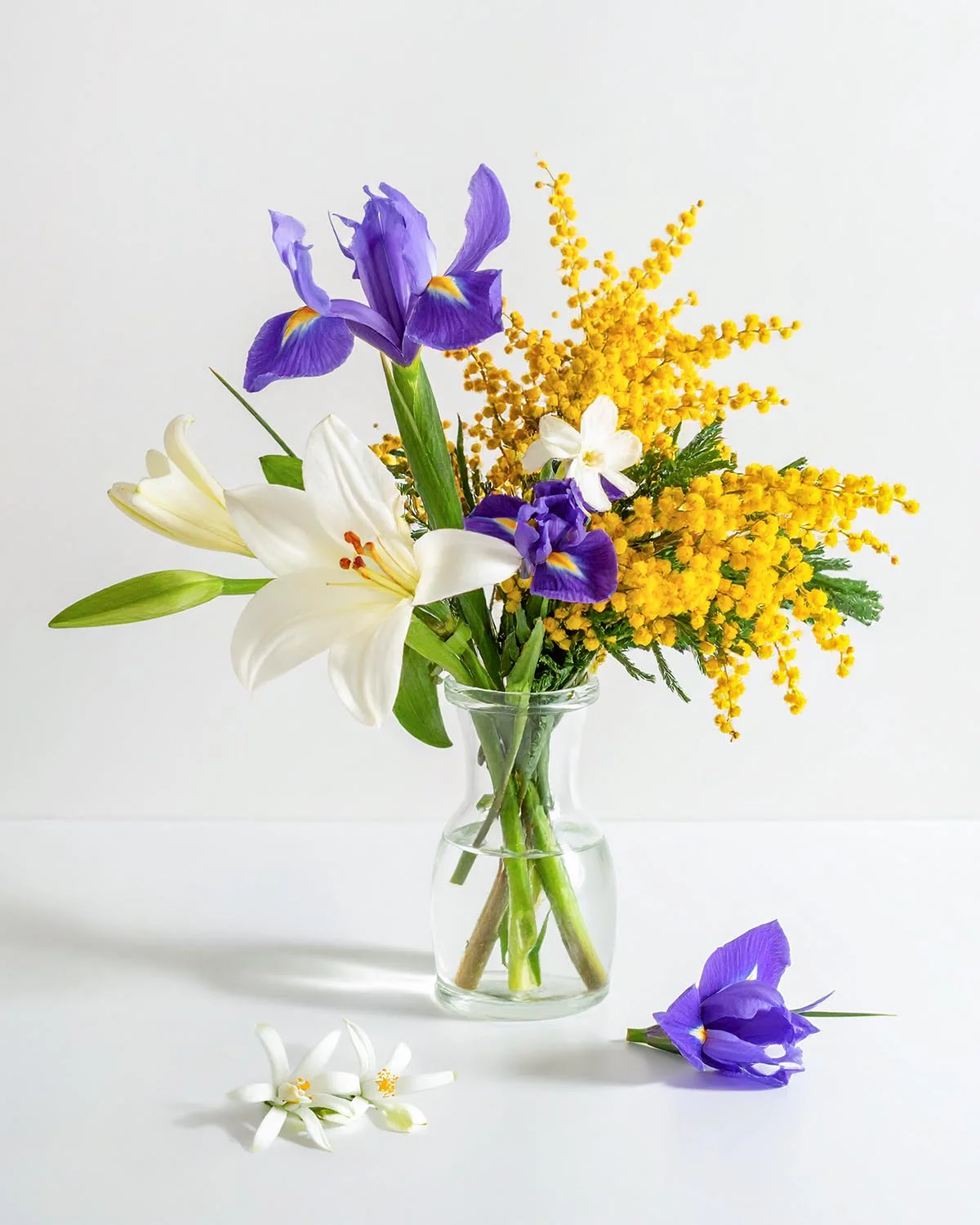 Miniature 2