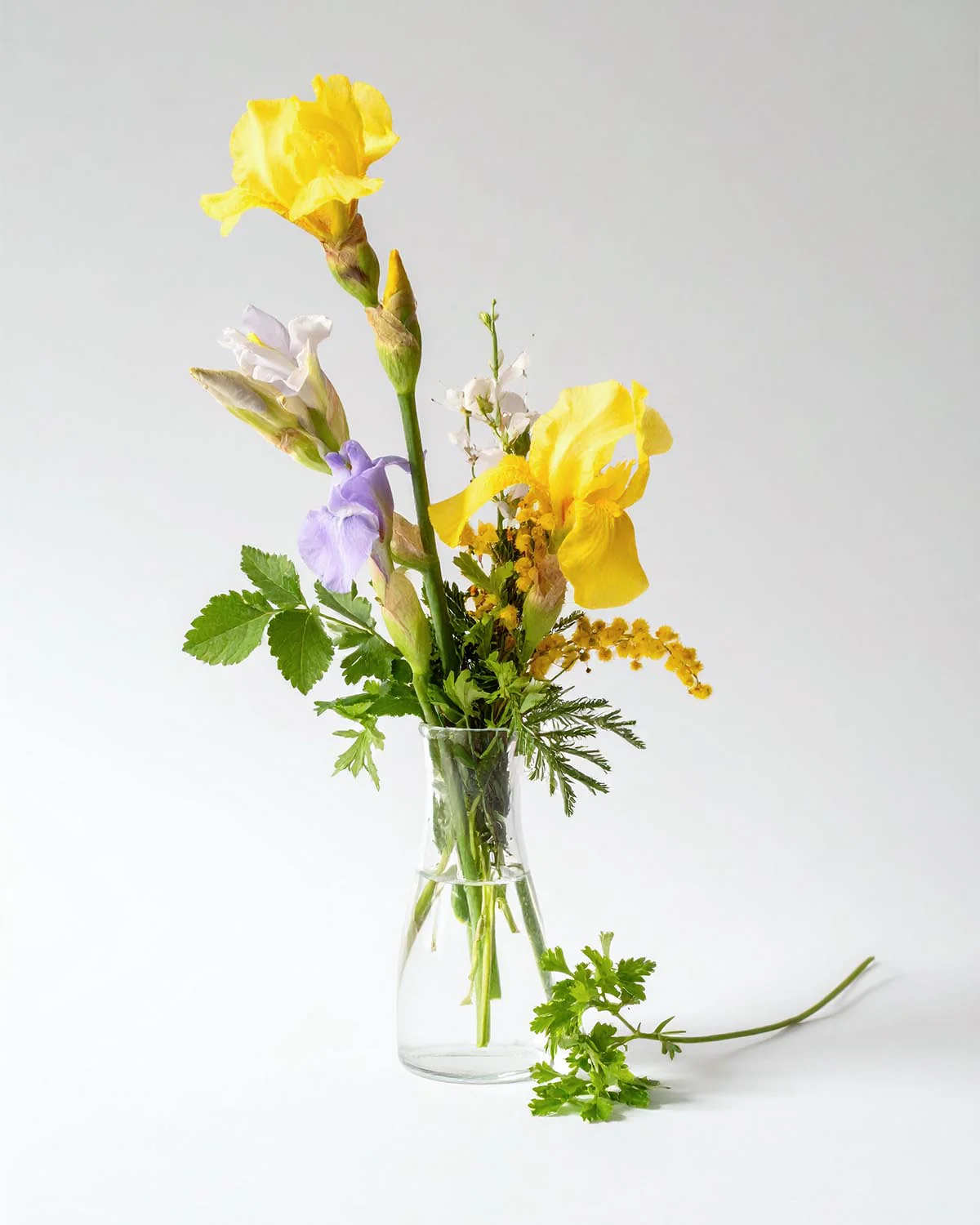 Miniature 2