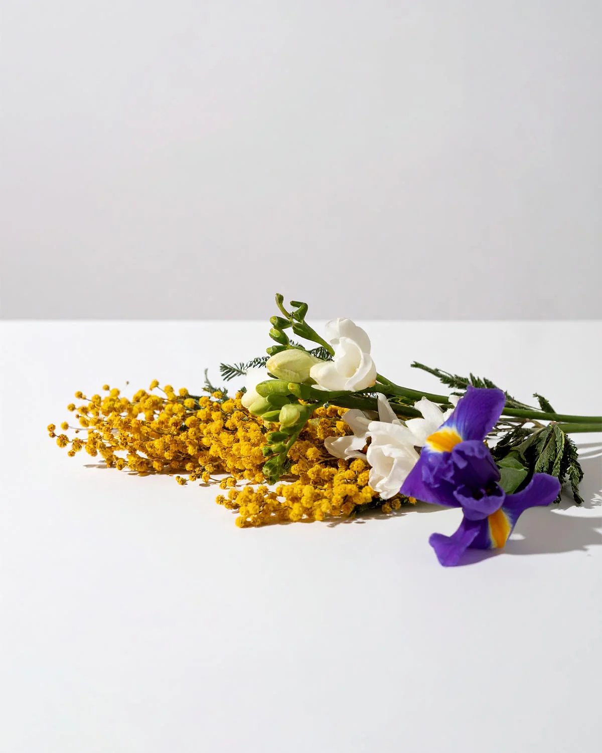 Miniature 2