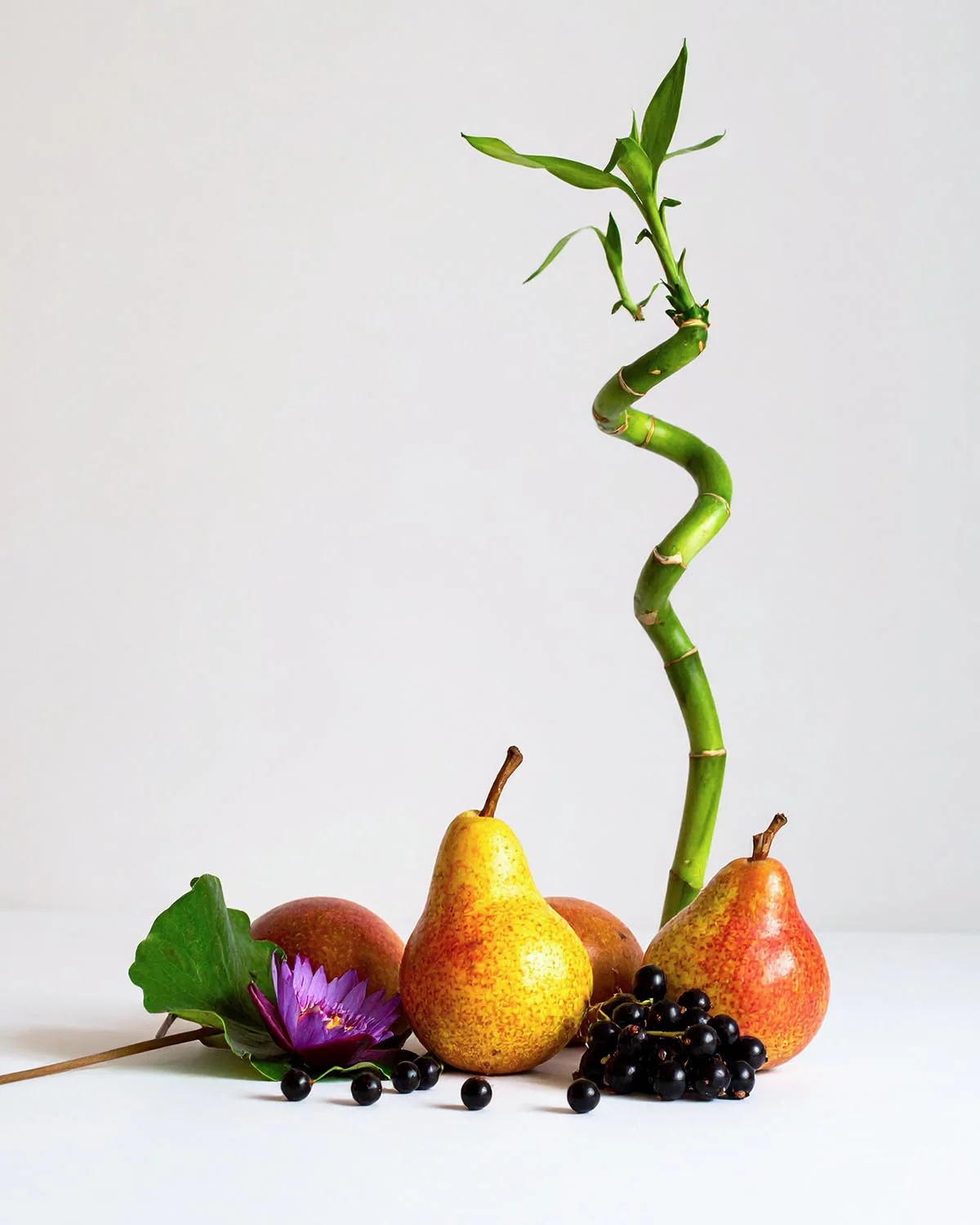 Miniature 2